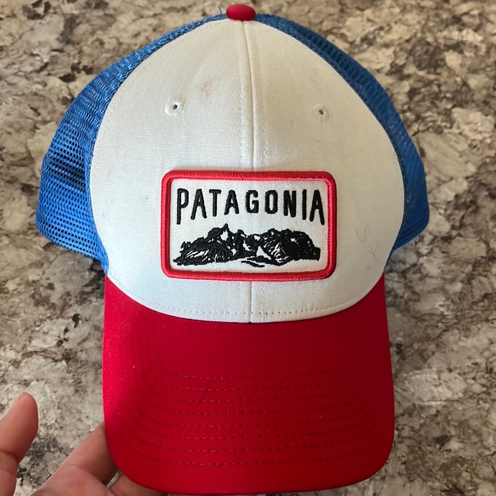 Patagonia trucker hat